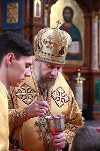 Тут описание фото или заголовок новости