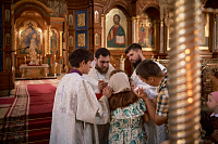 Тут описание фото или заголовок новости