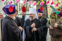 Тут описание фото или заголовок новости
