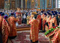 Тут описание фото или заголовок новости