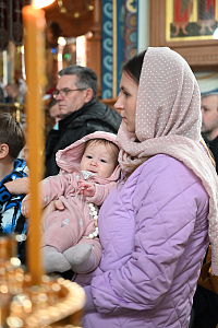 Тут описание фото или заголовок новости