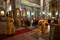 Тут описание фото или заголовок новости