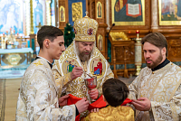 Тут описание фото или заголовок новости