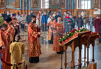 Тут описание фото или заголовок новости