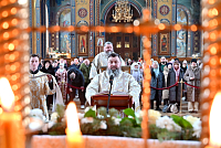 Тут описание фото или заголовок новости