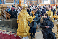 Тут описание фото или заголовок новости