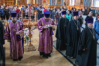 Тут описание фото или заголовок новости