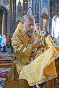 Тут описание фото или заголовок новости