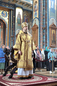 Тут описание фото или заголовок новости