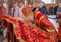 Тут описание фото или заголовок новости