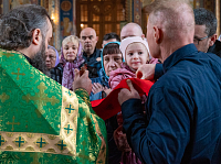 Тут описание фото или заголовок новости