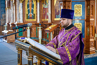 Тут описание фото или заголовок новости