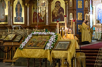 Тут описание фото или заголовок новости