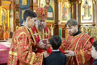 Тут описание фото или заголовок новости