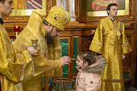 Тут описание фото или заголовок новости
