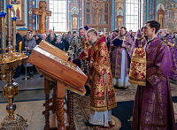 Тут описание фото или заголовок новости