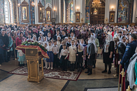 Тут описание фото или заголовок новости