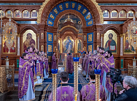 Тут описание фото или заголовок новости