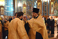 Тут описание фото или заголовок новости