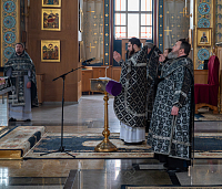 Тут описание фото или заголовок новости