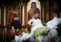 Тут описание фото или заголовок новости