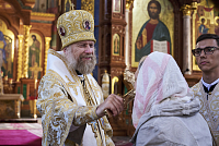 Тут описание фото или заголовок новости