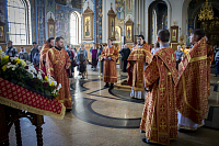 Тут описание фото или заголовок новости