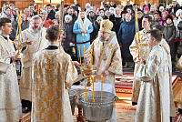 Тут описание фото или заголовок новости