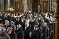 Тут описание фото или заголовок новости