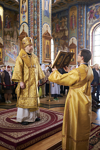 Тут описание фото или заголовок новости
