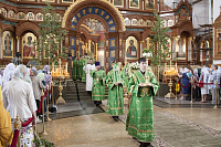 Тут описание фото или заголовок новости