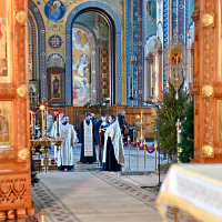 Тут описание фото или заголовок новости