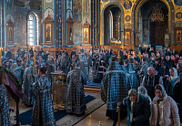 Тут описание фото или заголовок новости