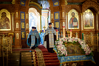 Тут описание фото или заголовок новости