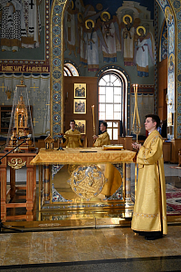 Тут описание фото или заголовок новости