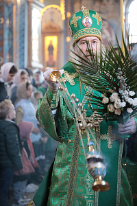 Тут описание фото или заголовок новости