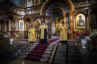 Тут описание фото или заголовок новости