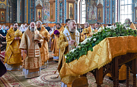 Тут описание фото или заголовок новости