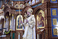 Тут описание фото или заголовок новости