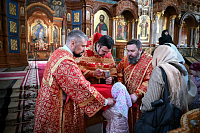 Тут описание фото или заголовок новости