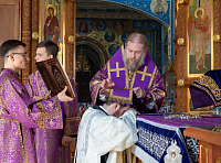 Тут описание фото или заголовок новости