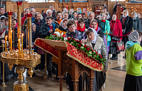 Тут описание фото или заголовок новости