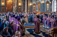 Тут описание фото или заголовок новости