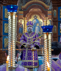 Тут описание фото или заголовок новости