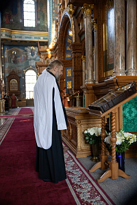 Тут описание фото или заголовок новости