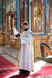 Тут описание фото или заголовок новости