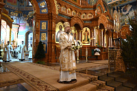 Тут описание фото или заголовок новости