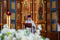 Тут описание фото или заголовок новости