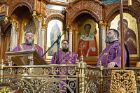 Тут описание фото или заголовок новости