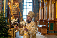 Тут описание фото или заголовок новости